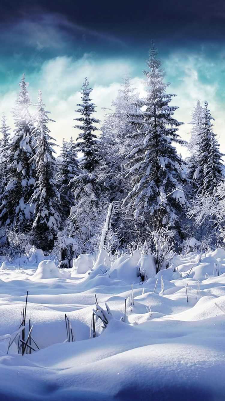 1080P Snow Wallpapers