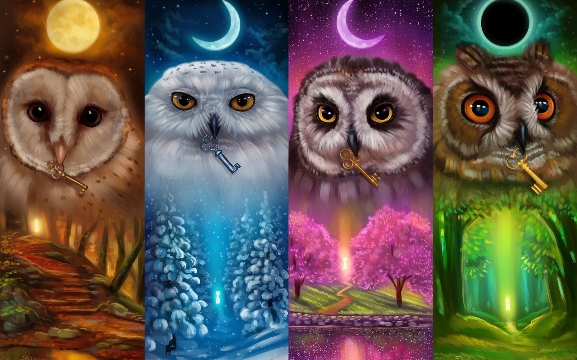 1200 X 900 Colorful Owl Wallpapers