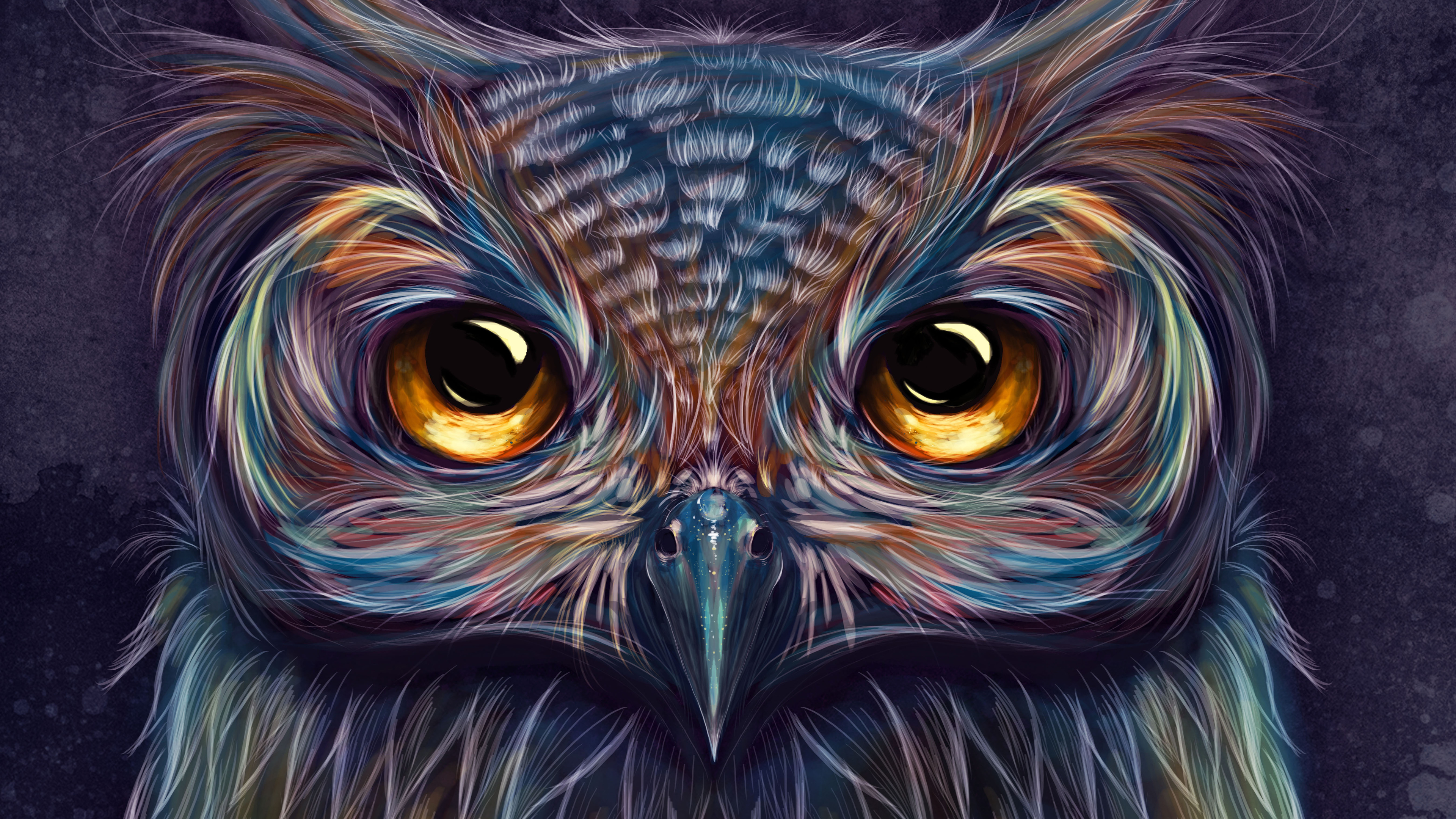 1200 X 900 Colorful Owl Wallpapers