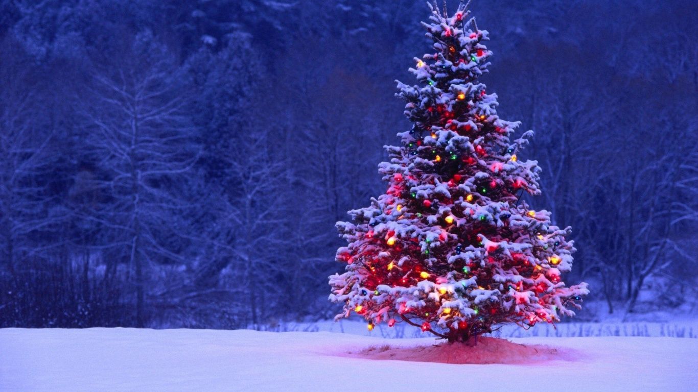 1366 X 768 Christmas Wallpapers