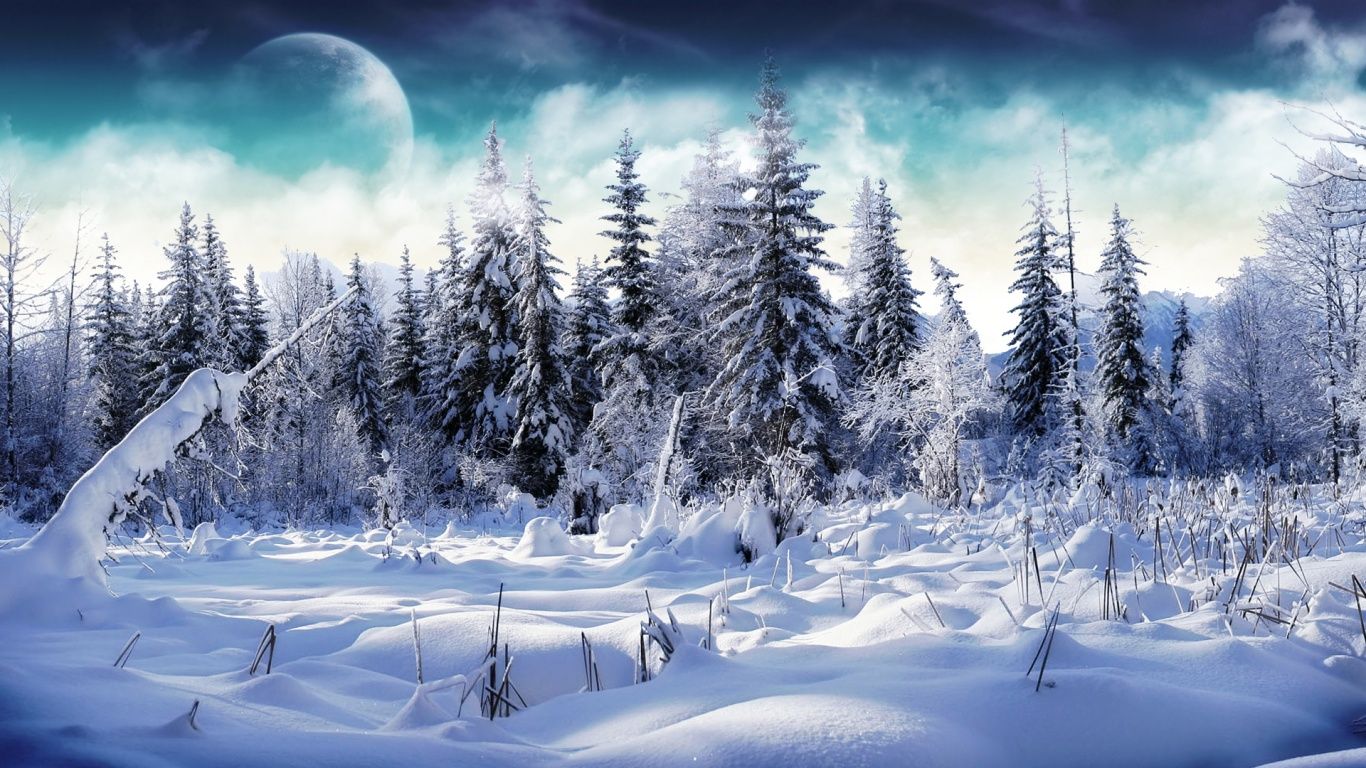 1366 X 768 Winter Wallpapers