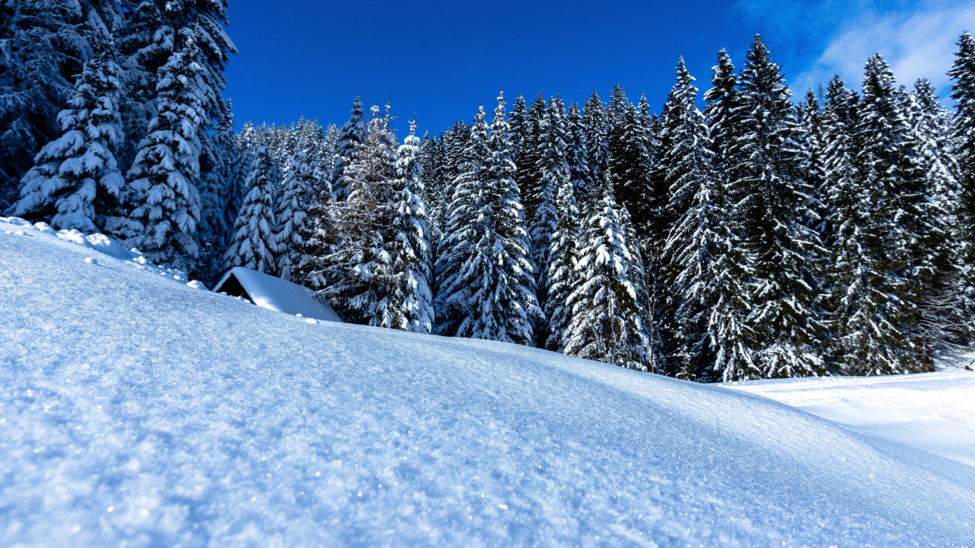 1366 X 768 Winter Wallpapers