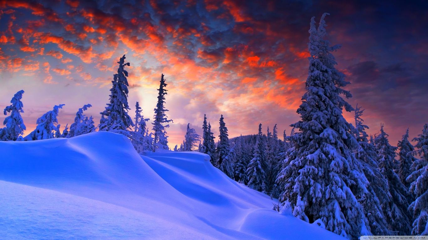 1366 X 768 Winter Wallpapers