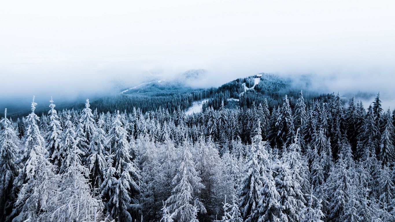 1366 X 768 Winter Wallpapers