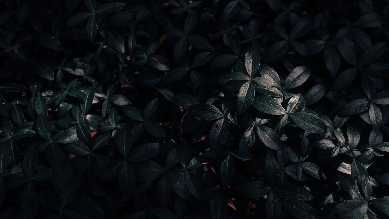 1366X768 Dark Wallpapers