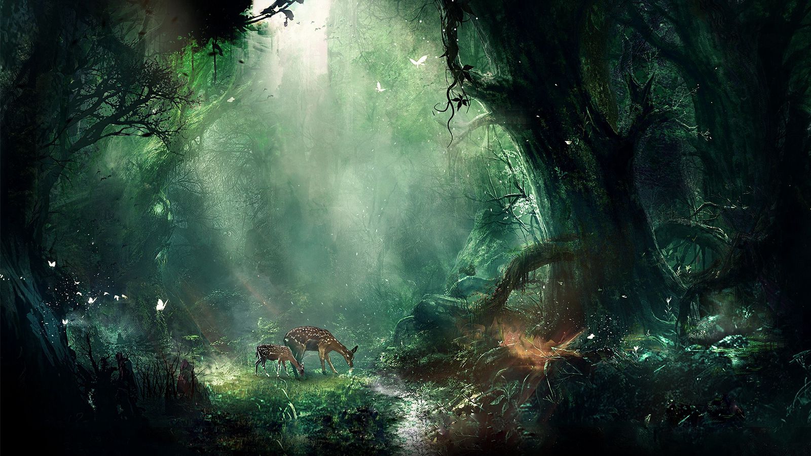 1600X900 Forest Wallpapers