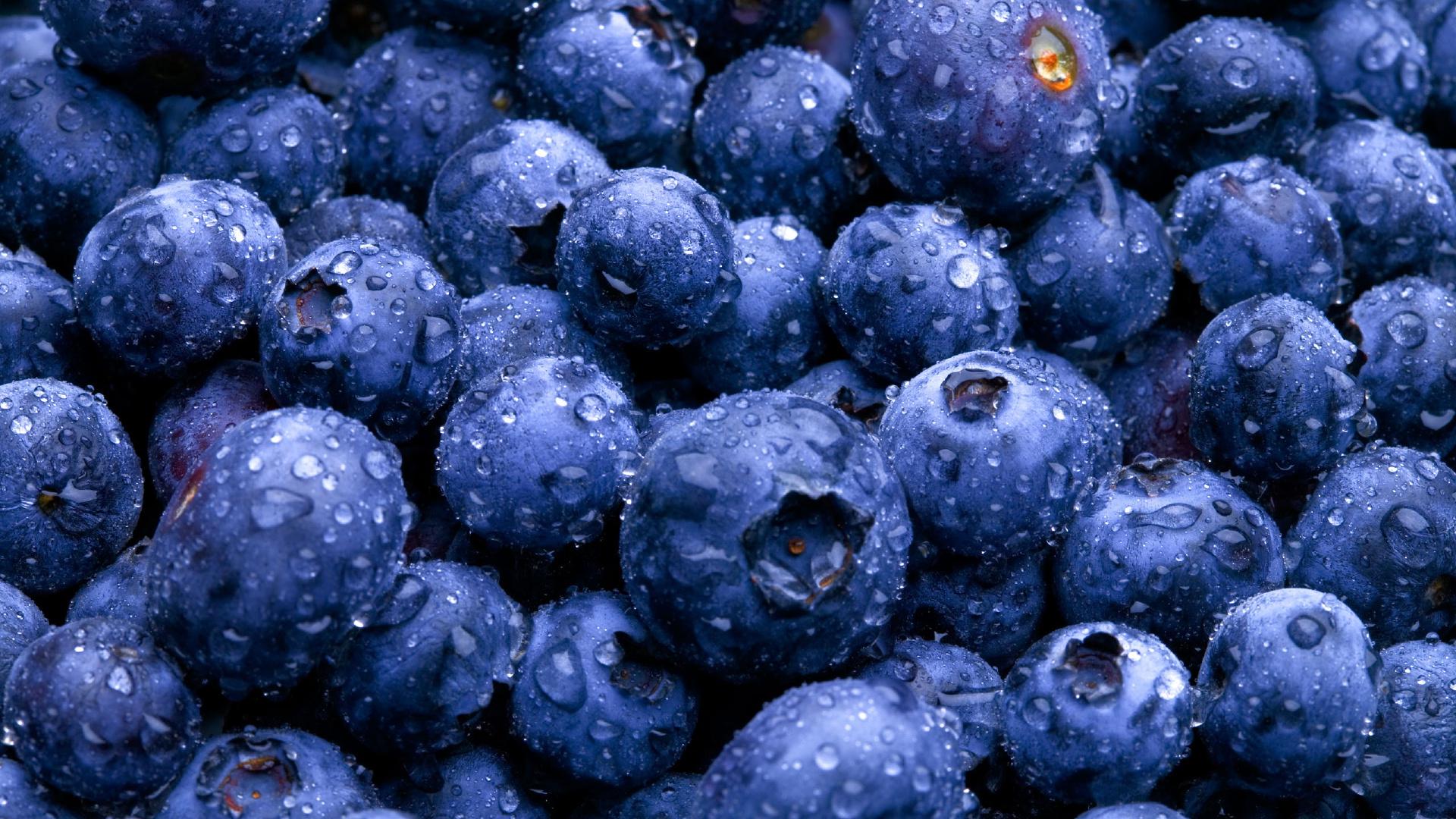 1920 X 1080 Blueberry Wallpapers