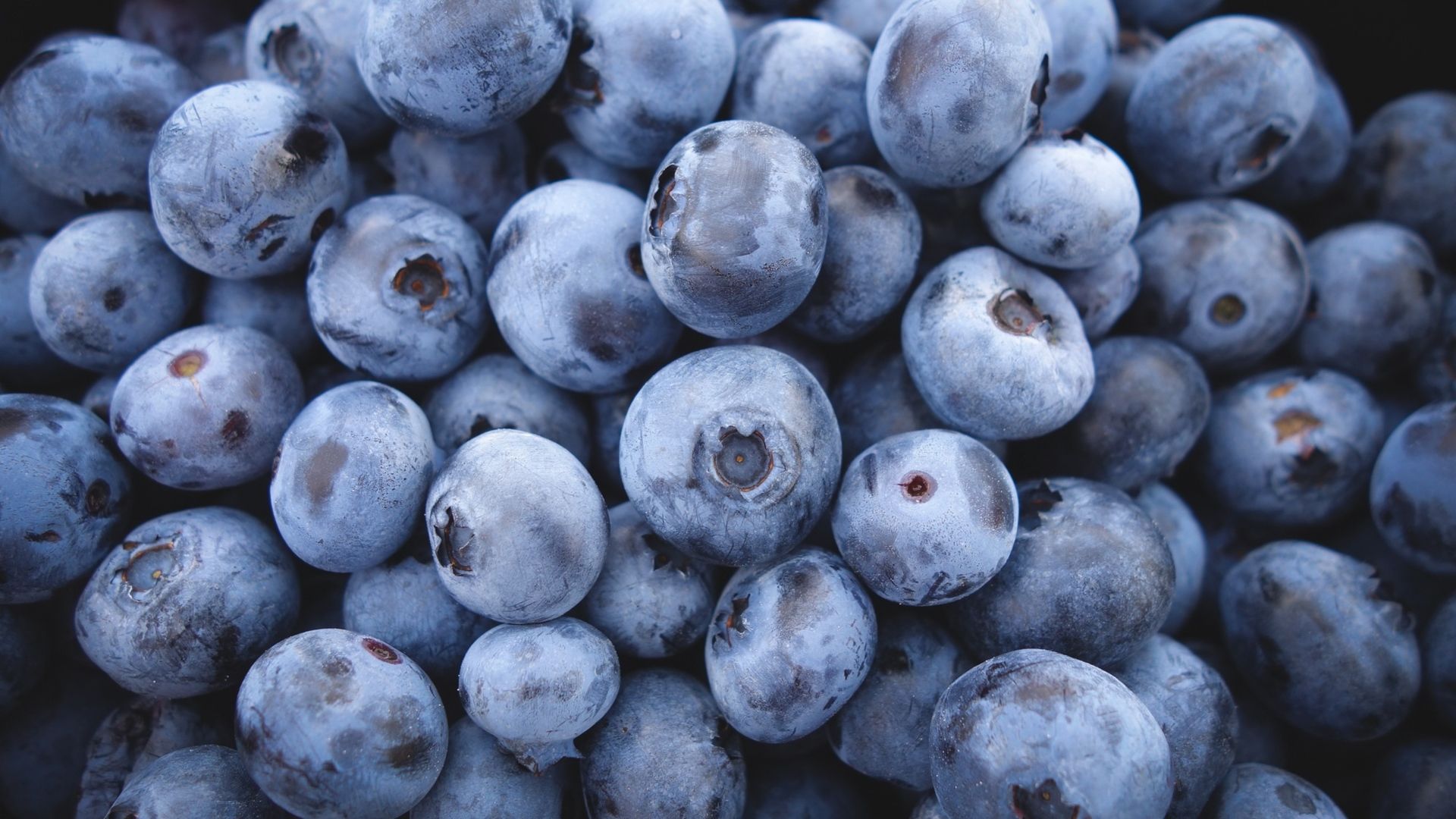 1920 X 1080 Blueberry Wallpapers