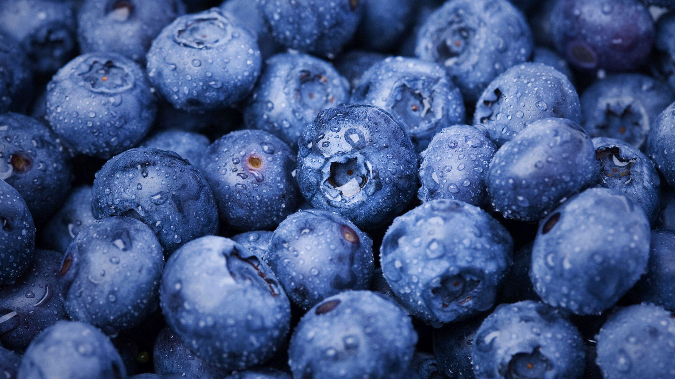 1920 X 1080 Blueberry Wallpapers