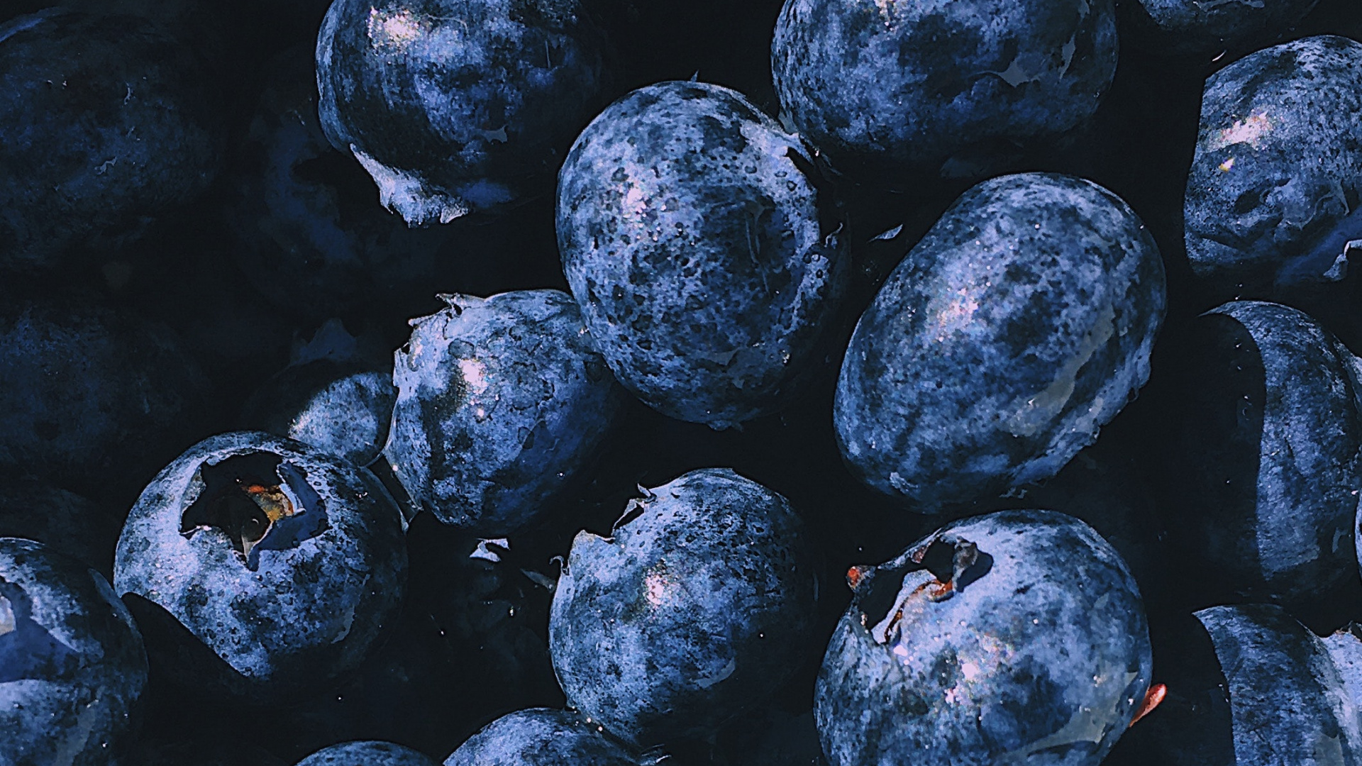 1920 X 1080 Blueberry Wallpapers