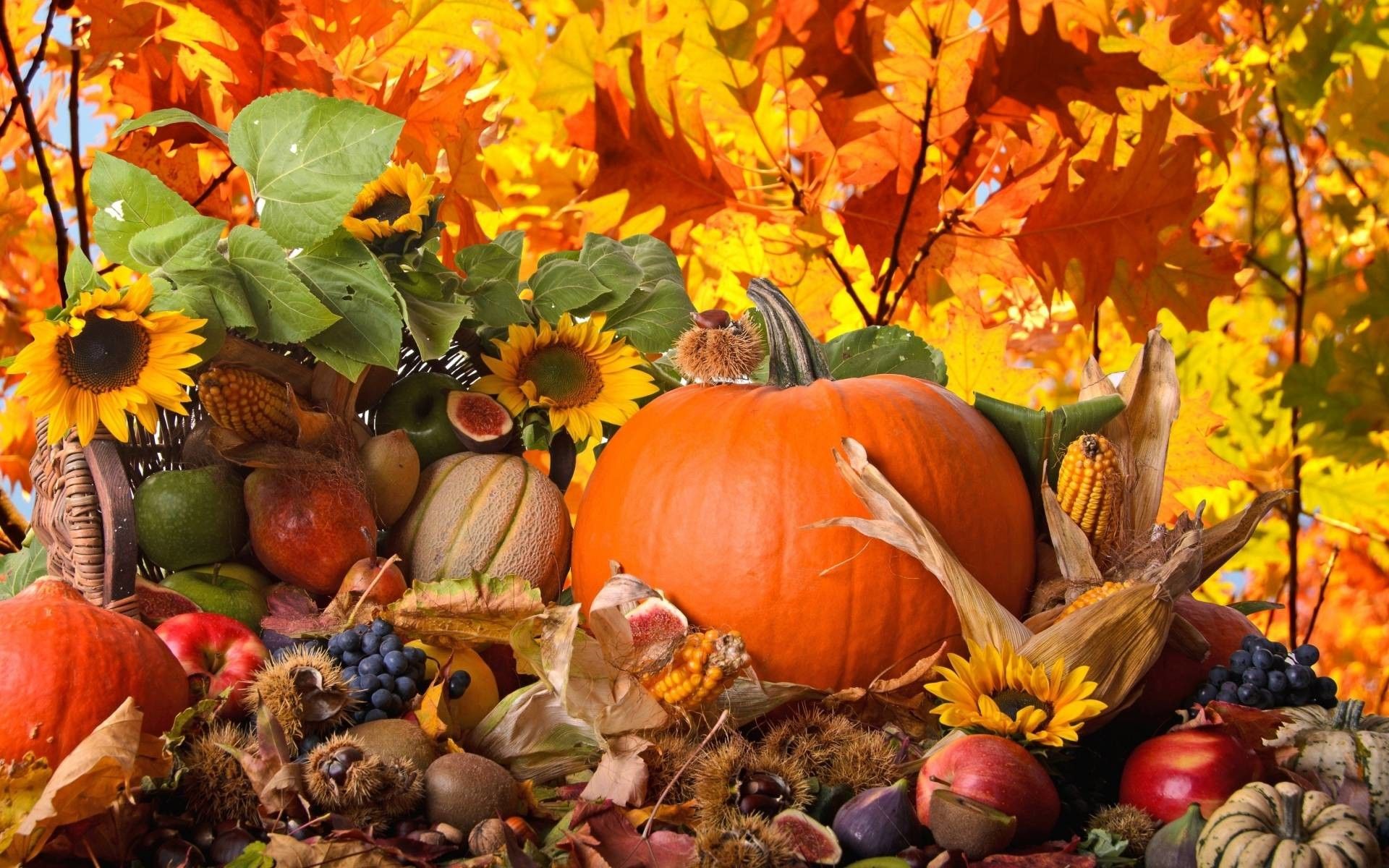 1920 X 1200 Hd Widescreen Thanksgiving Desktop Wallpapers