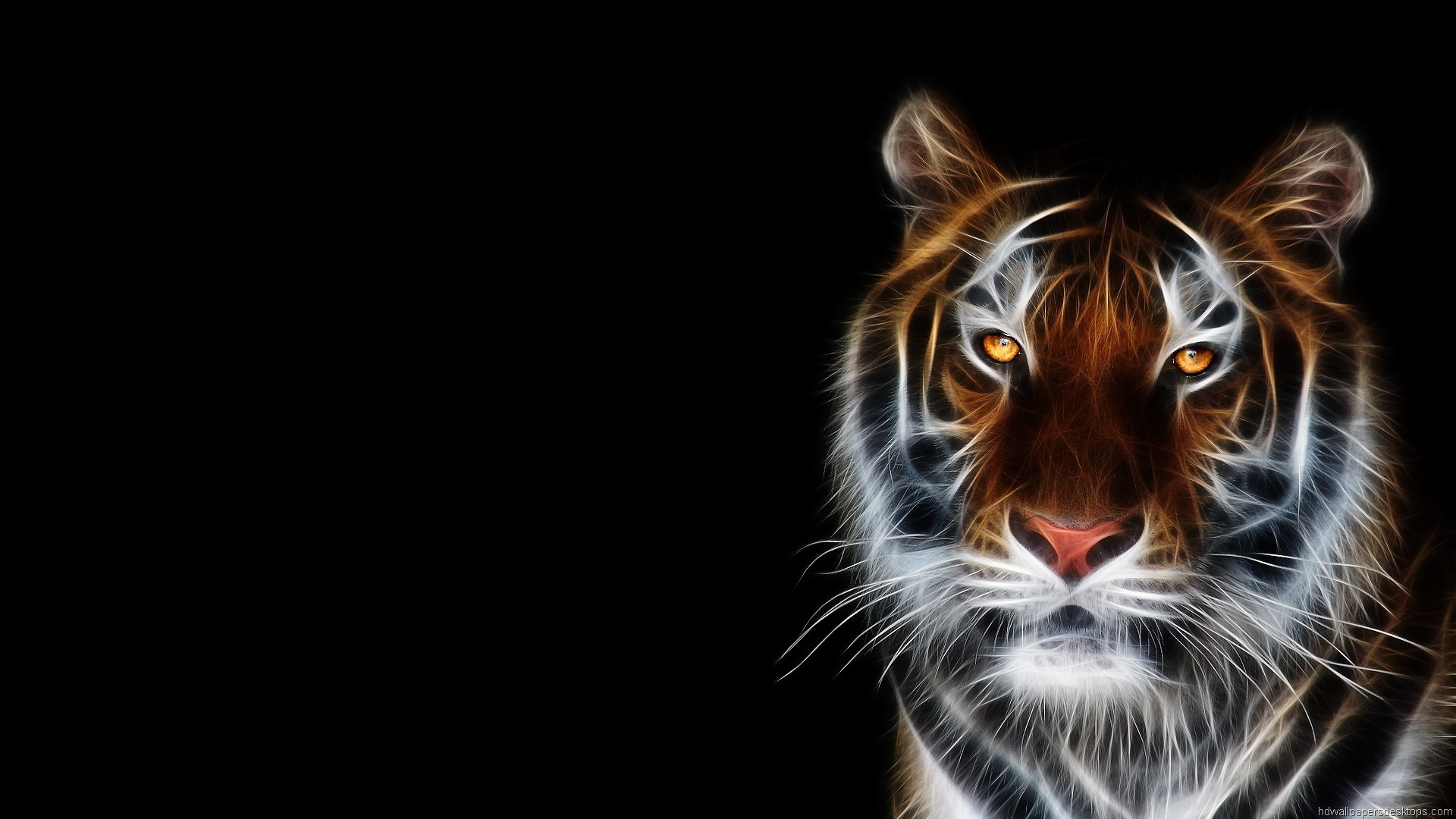 1920X1080 Hd Animals Wallpapers