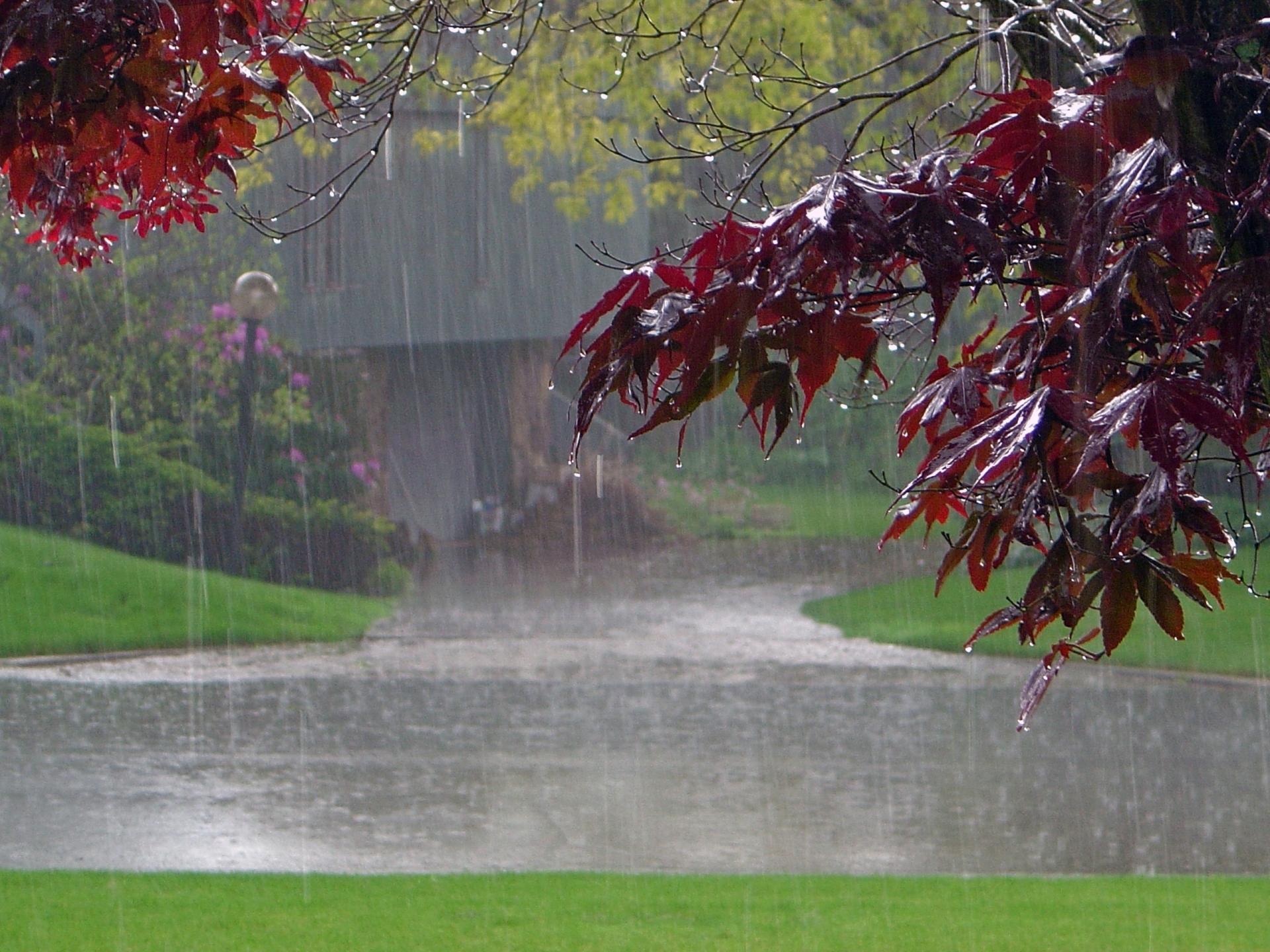 1920X1080 Hd Rain Wallpapers