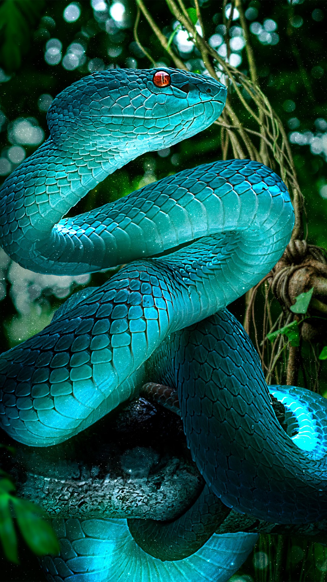 1920X1080 Hd Snake Wallpapers