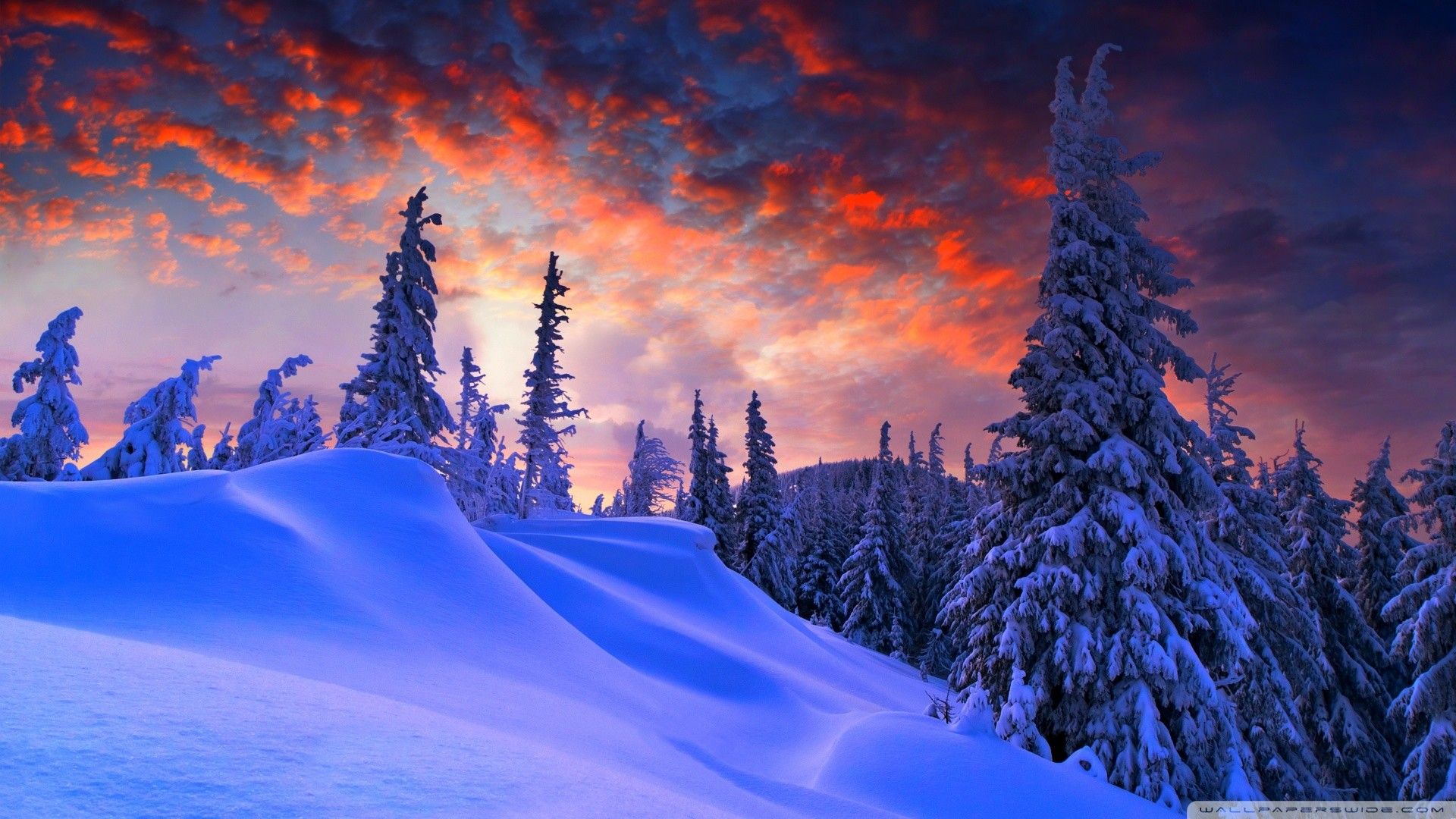 1920X1080 Hd Snow Wallpapers