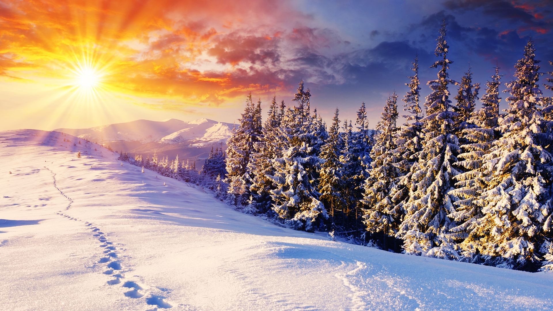 1920X1080 Hd Winter Desktop Wallpapers