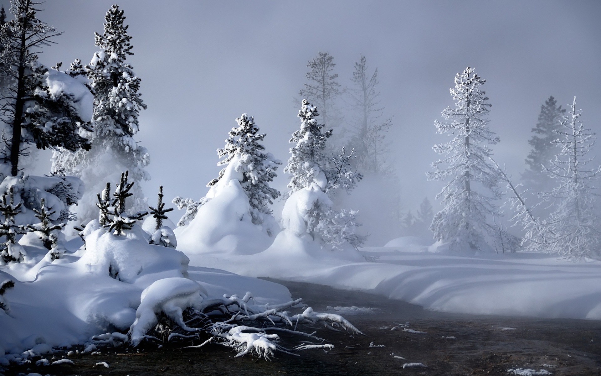 1920X1080 Hd Winter Desktop Wallpapers