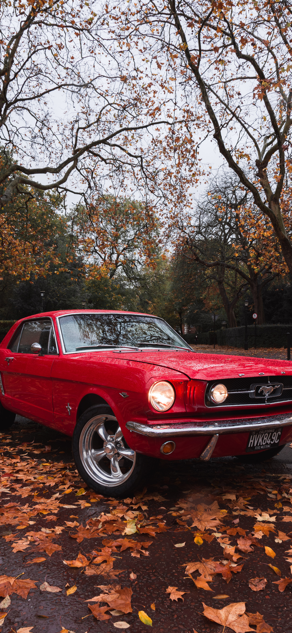 1965 Ford Mustang Wallpapers