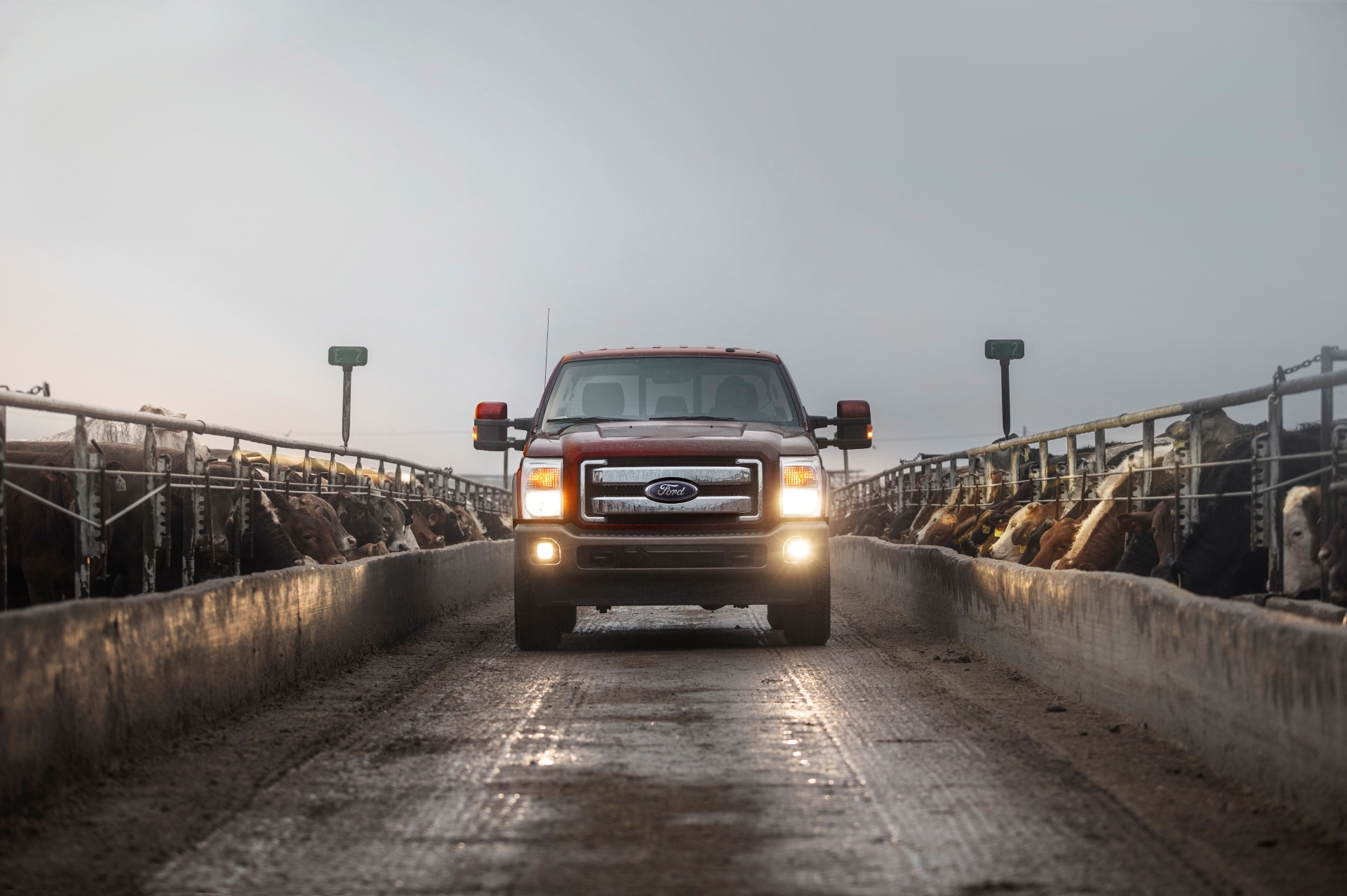 2015 Ford F-Series Super Duty Wallpapers