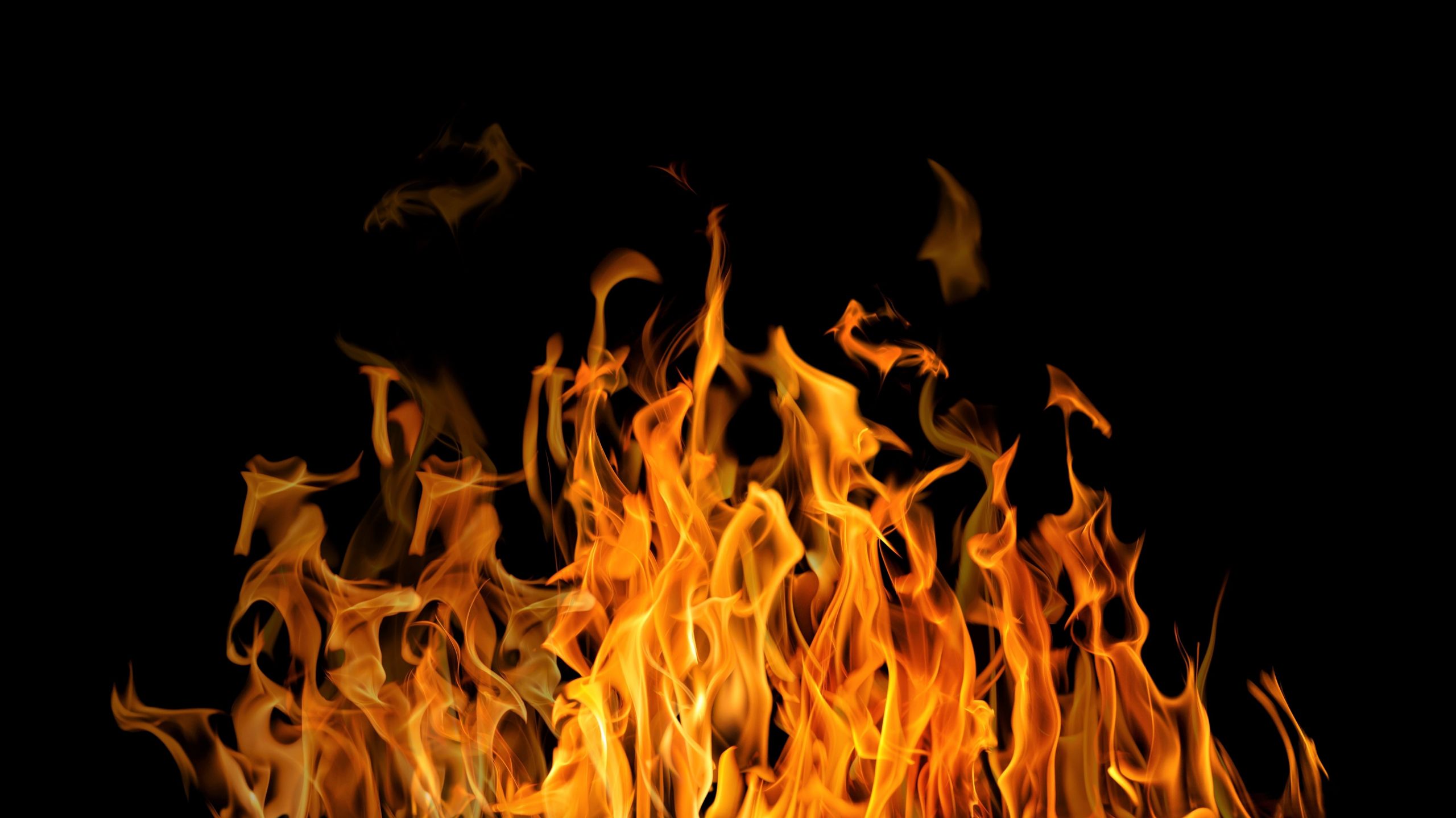 2560 X 1440 Fire Wallpapers
