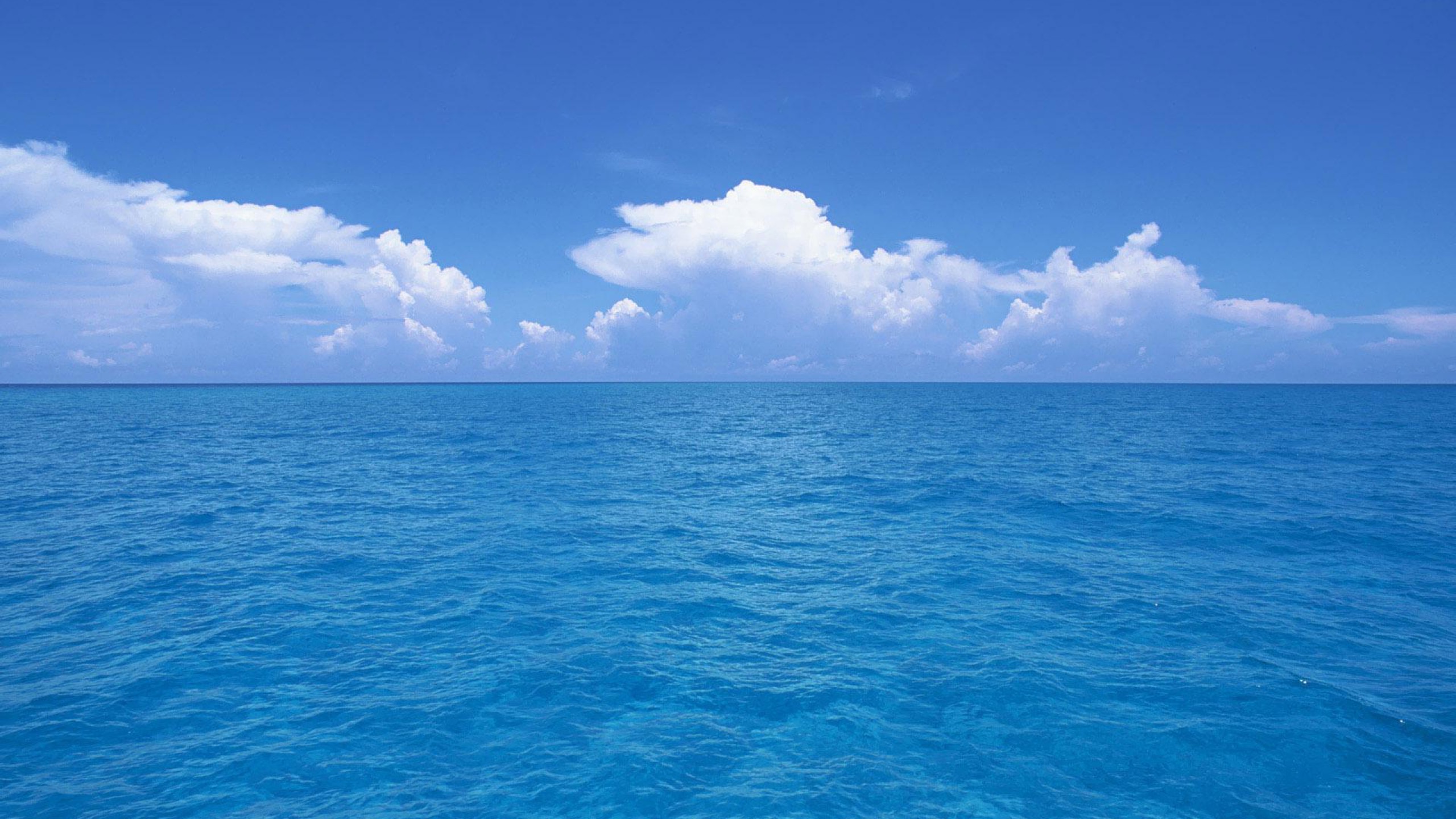 2560 X 1440 Sea Wallpapers
