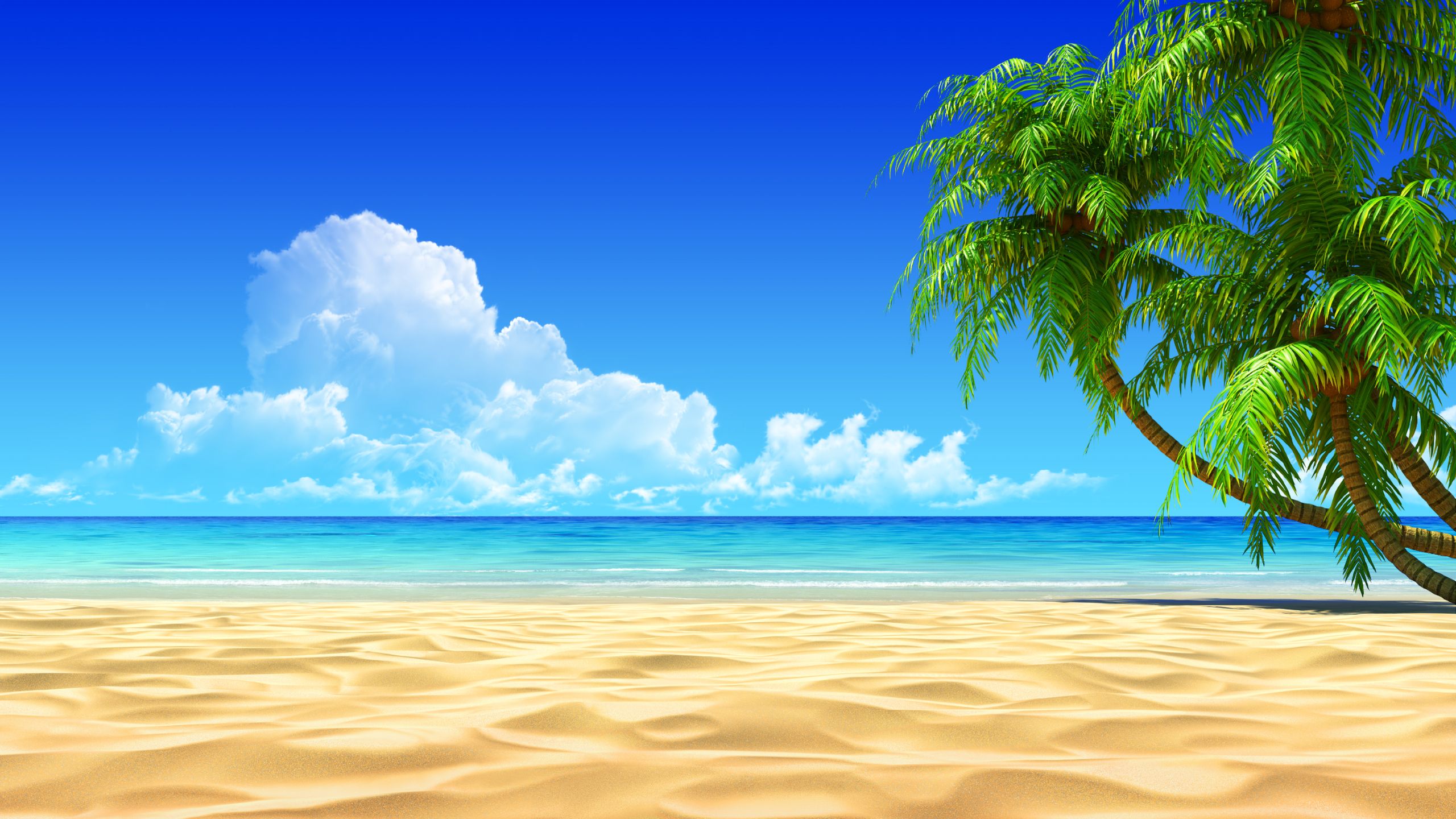 2560 X 1440 Sea Wallpapers