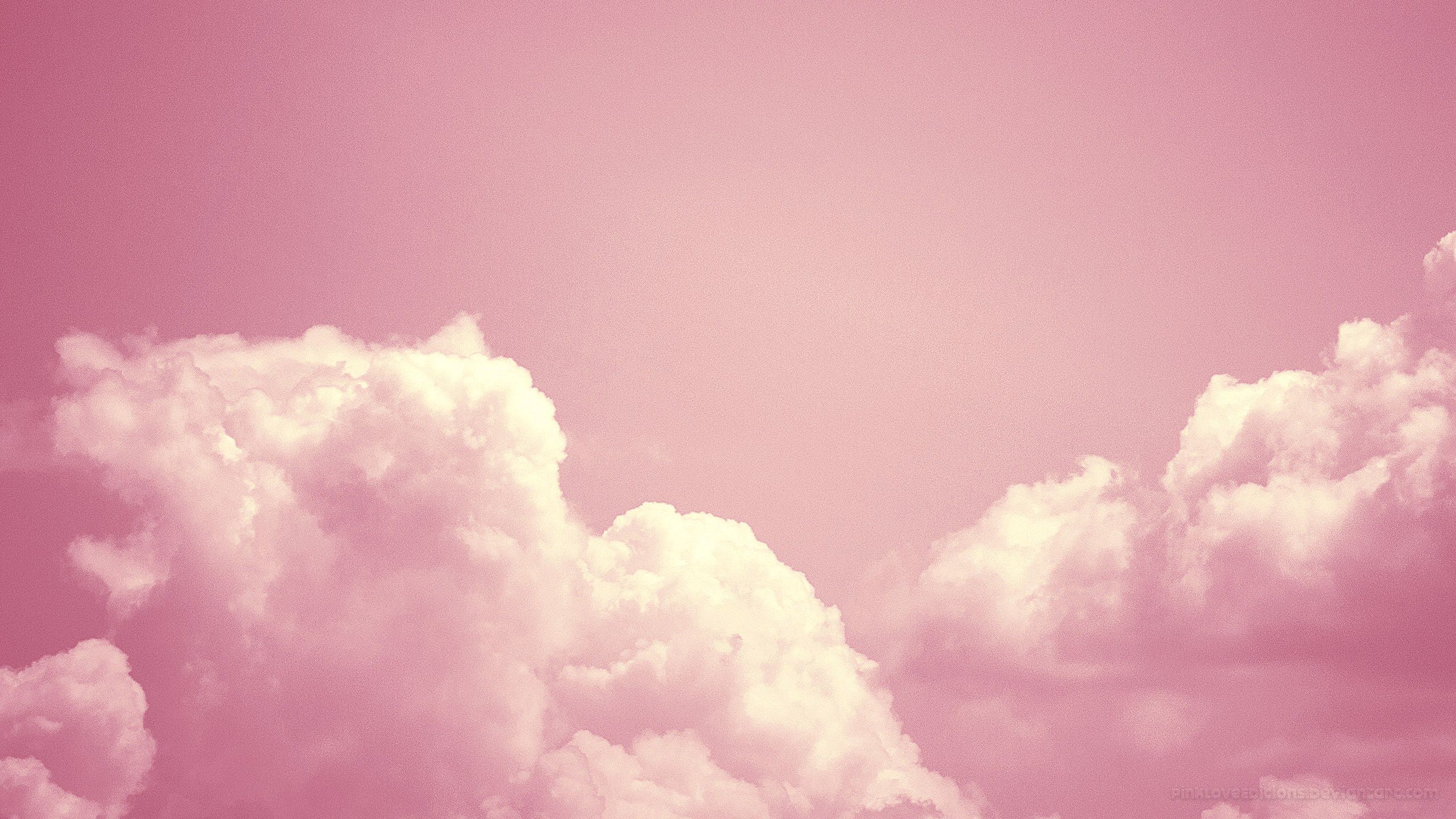 2560X1440 Pink Wallpapers