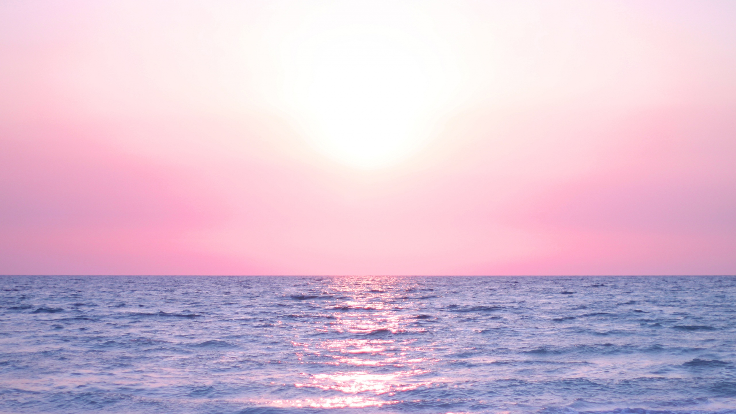 2560X1440 Pink Wallpapers