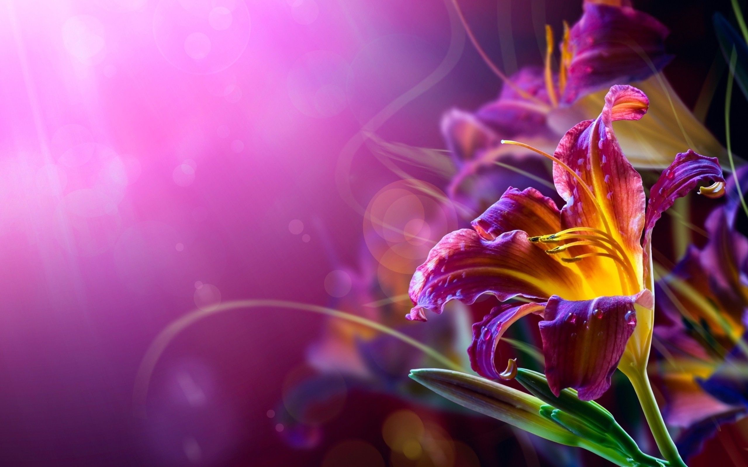 3D Abstract Flower Wallpapers