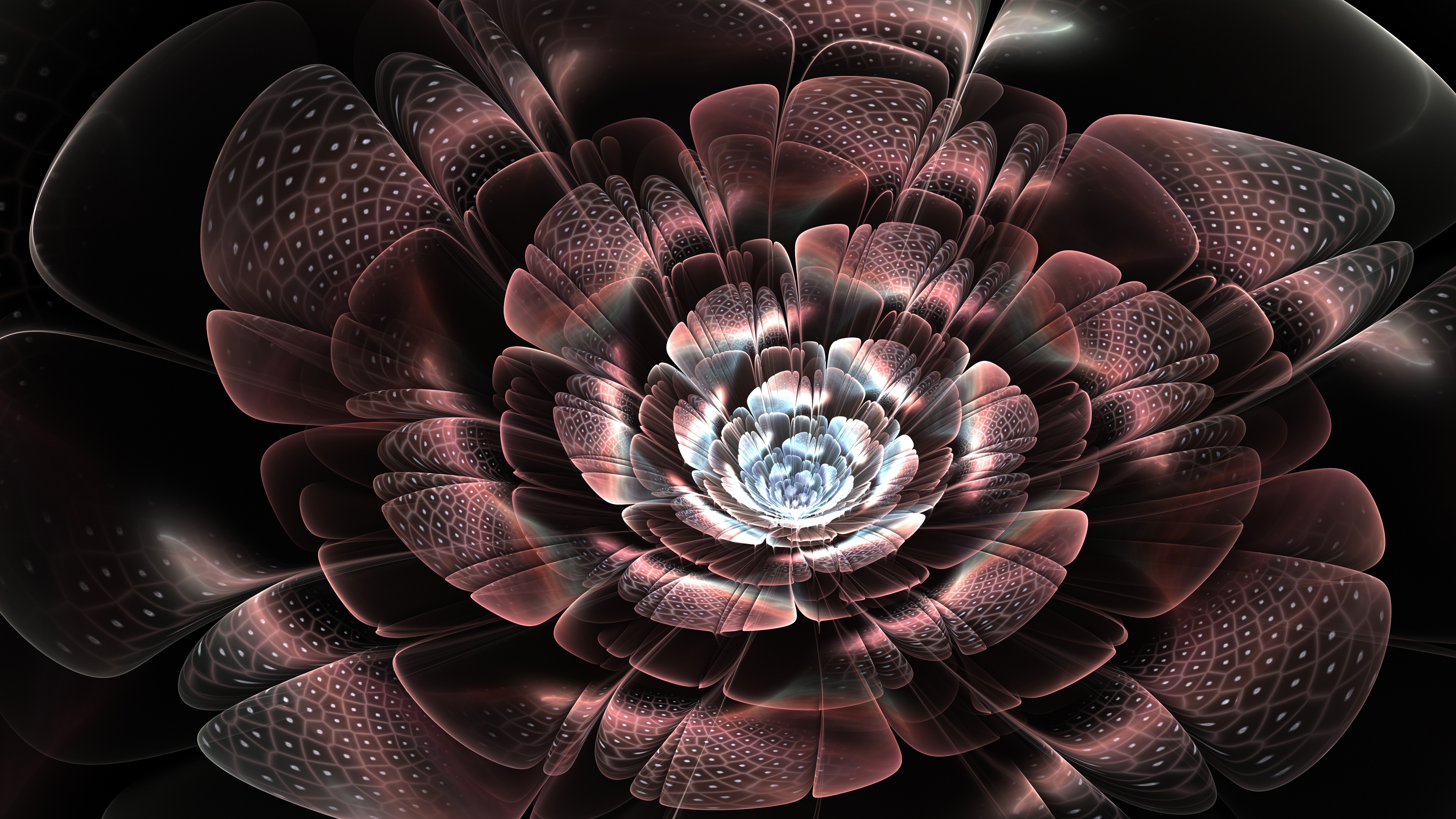 3D Abstract Flower Wallpapers