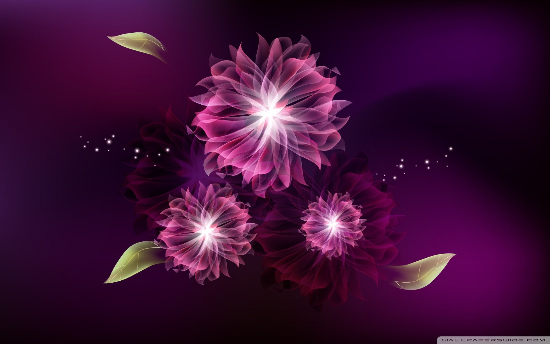 3D Abstract Flower Wallpapers