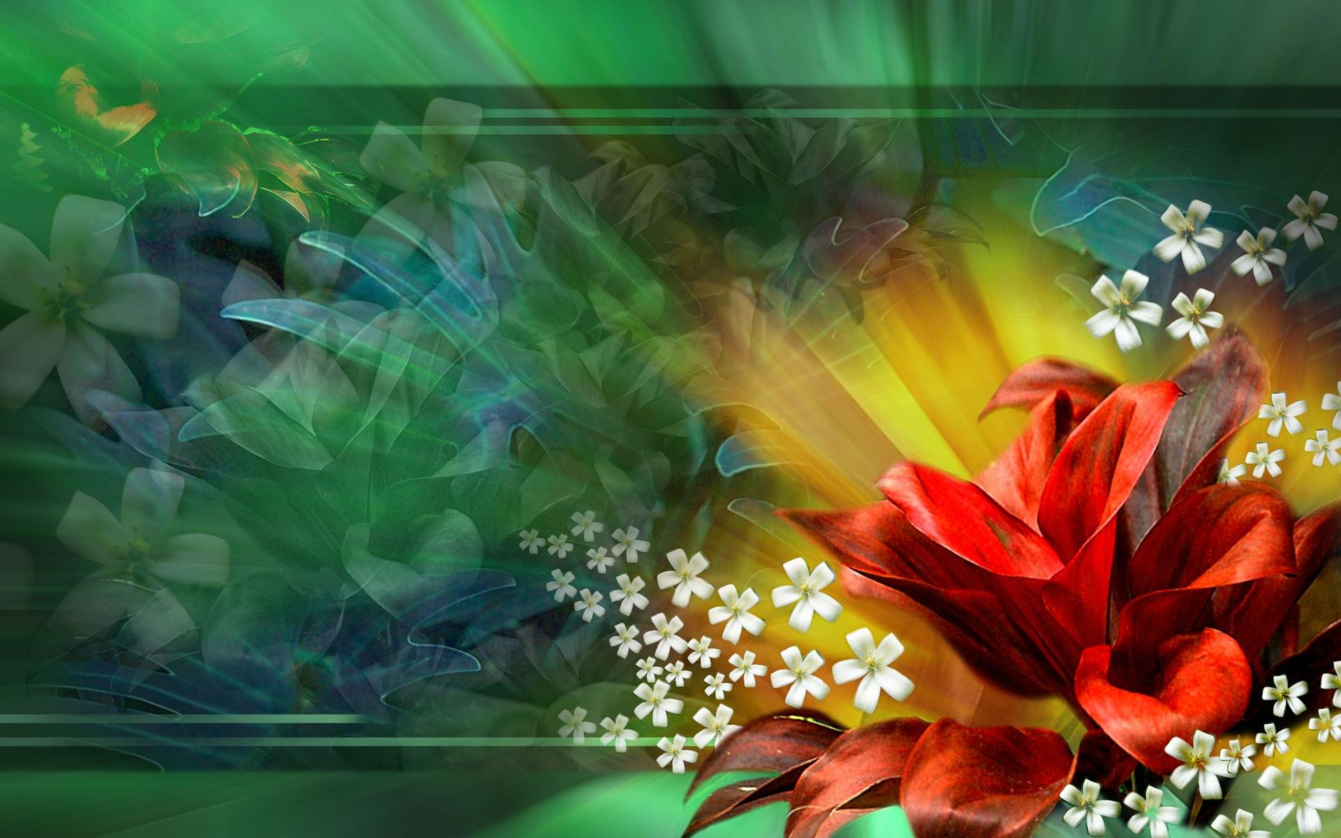 3D Abstract Flower Wallpapers