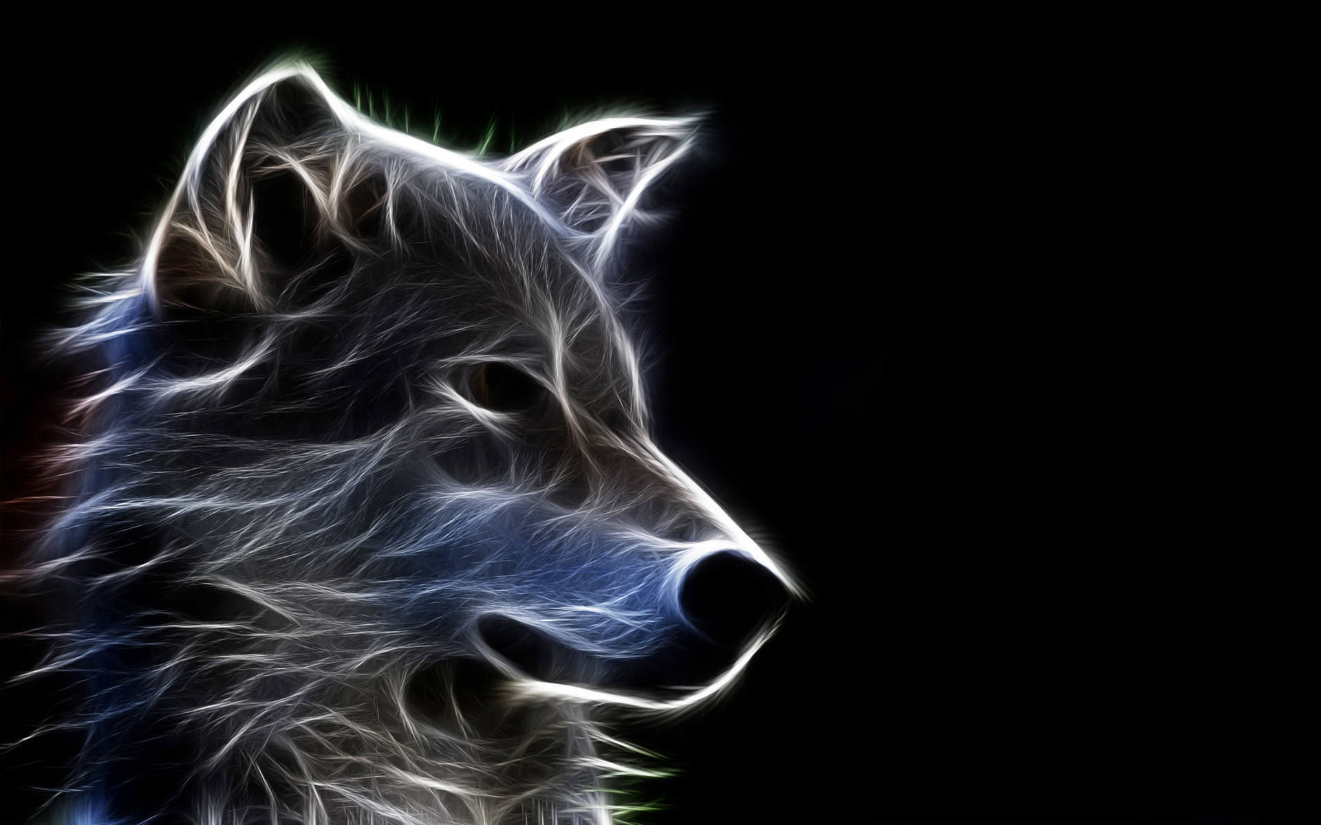 3D Animals Wallpapers