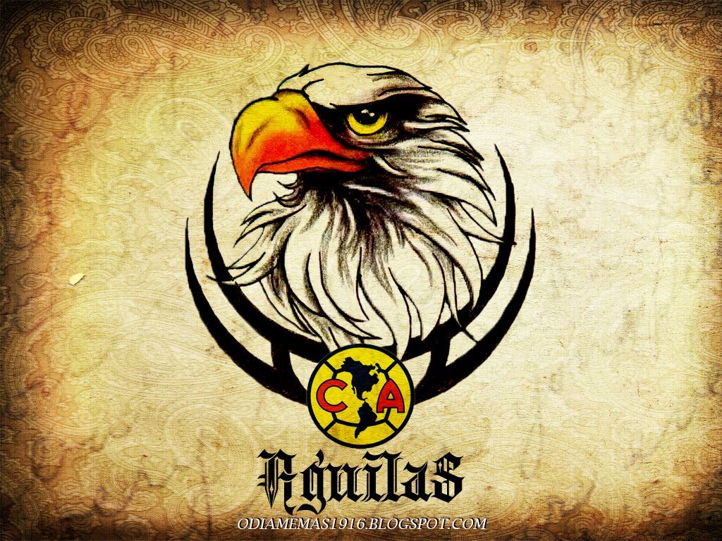 3D Club America Wallpapers