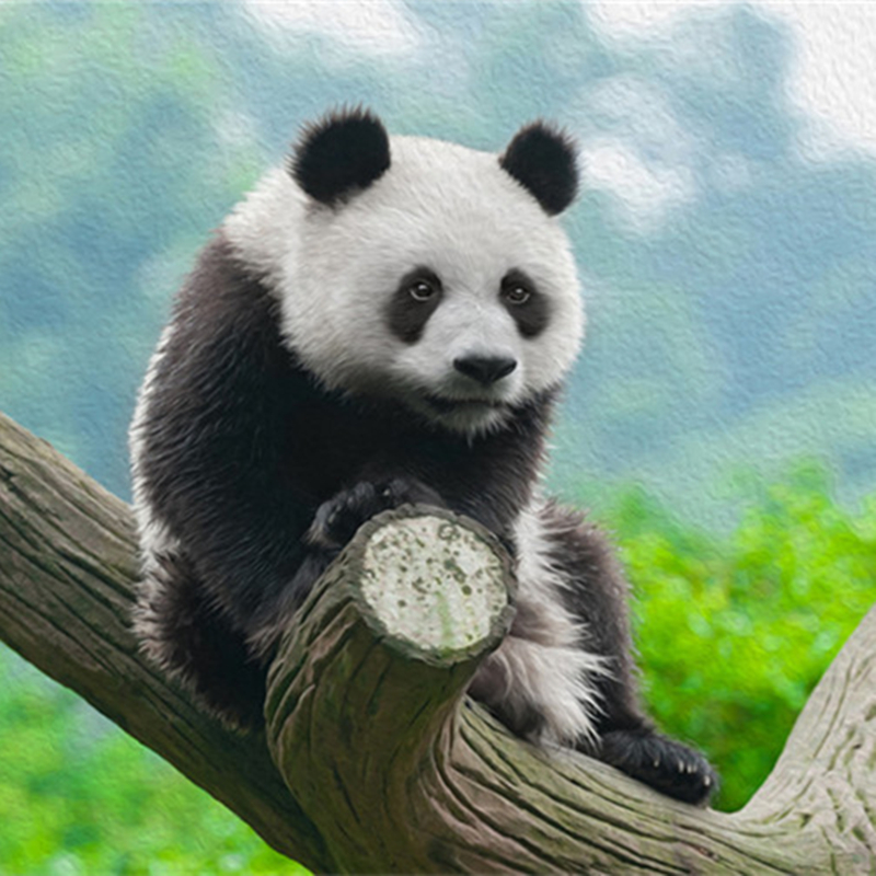 3D Cute Panda Wallpapers