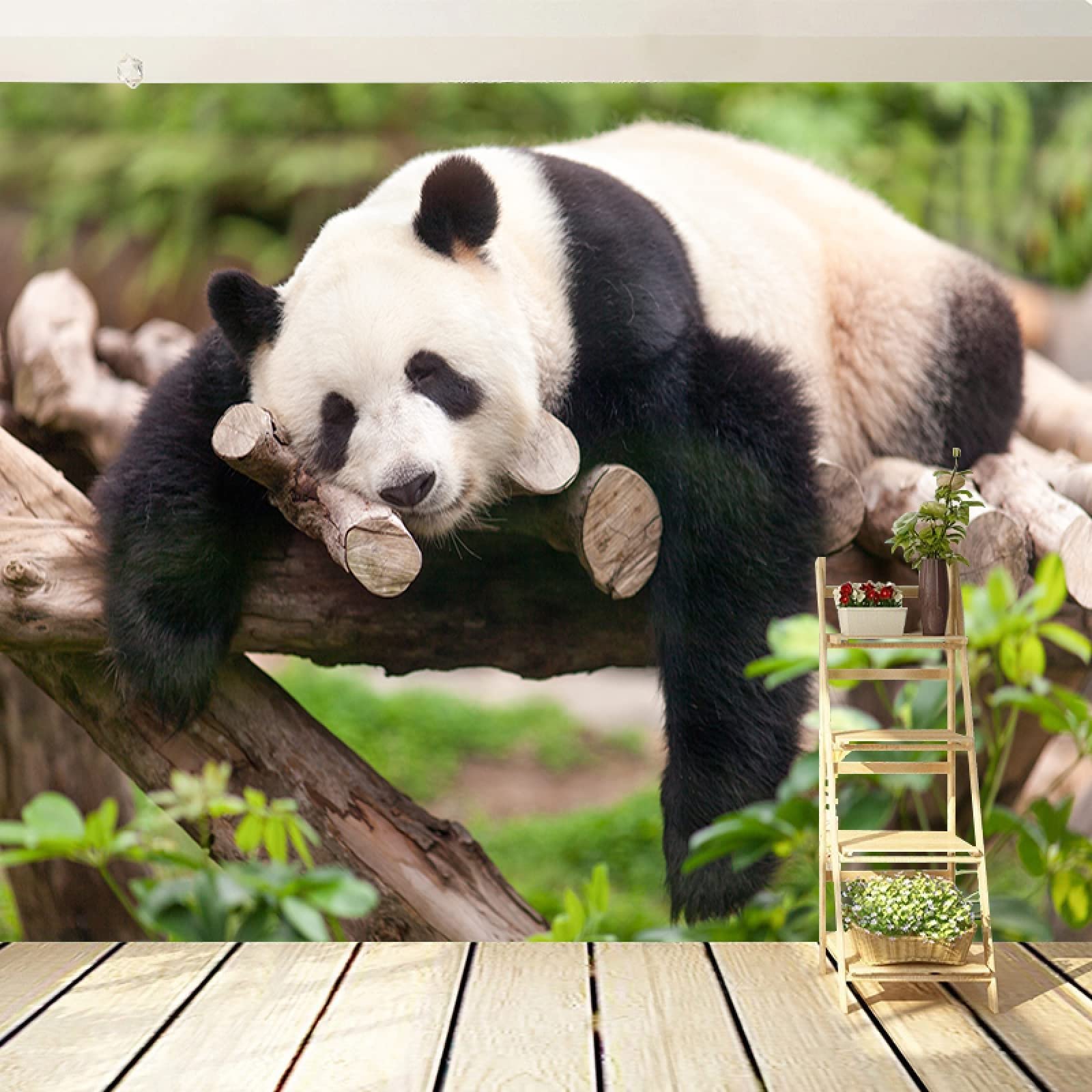 3D Cute Panda Wallpapers
