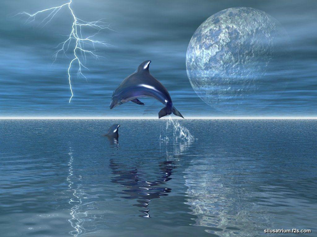 3D Dolphin Wallpapers