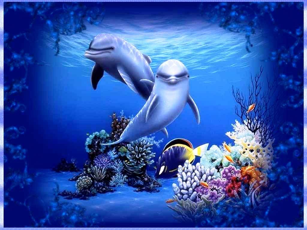 3D Dolphin Wallpapers