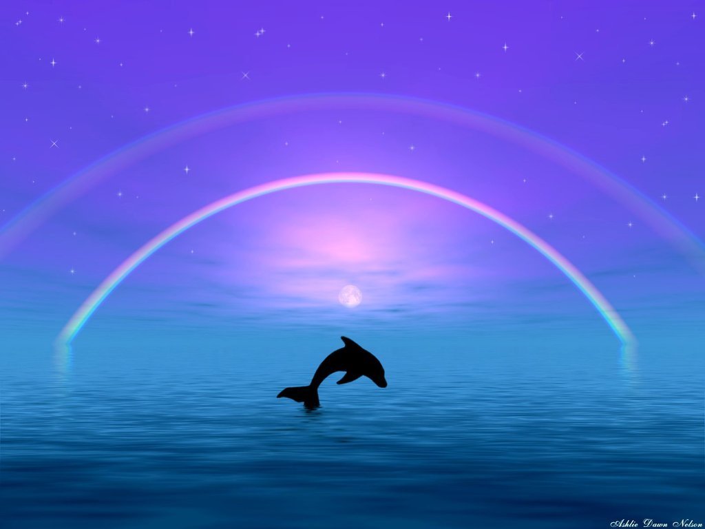 3D Dolphin Wallpapers