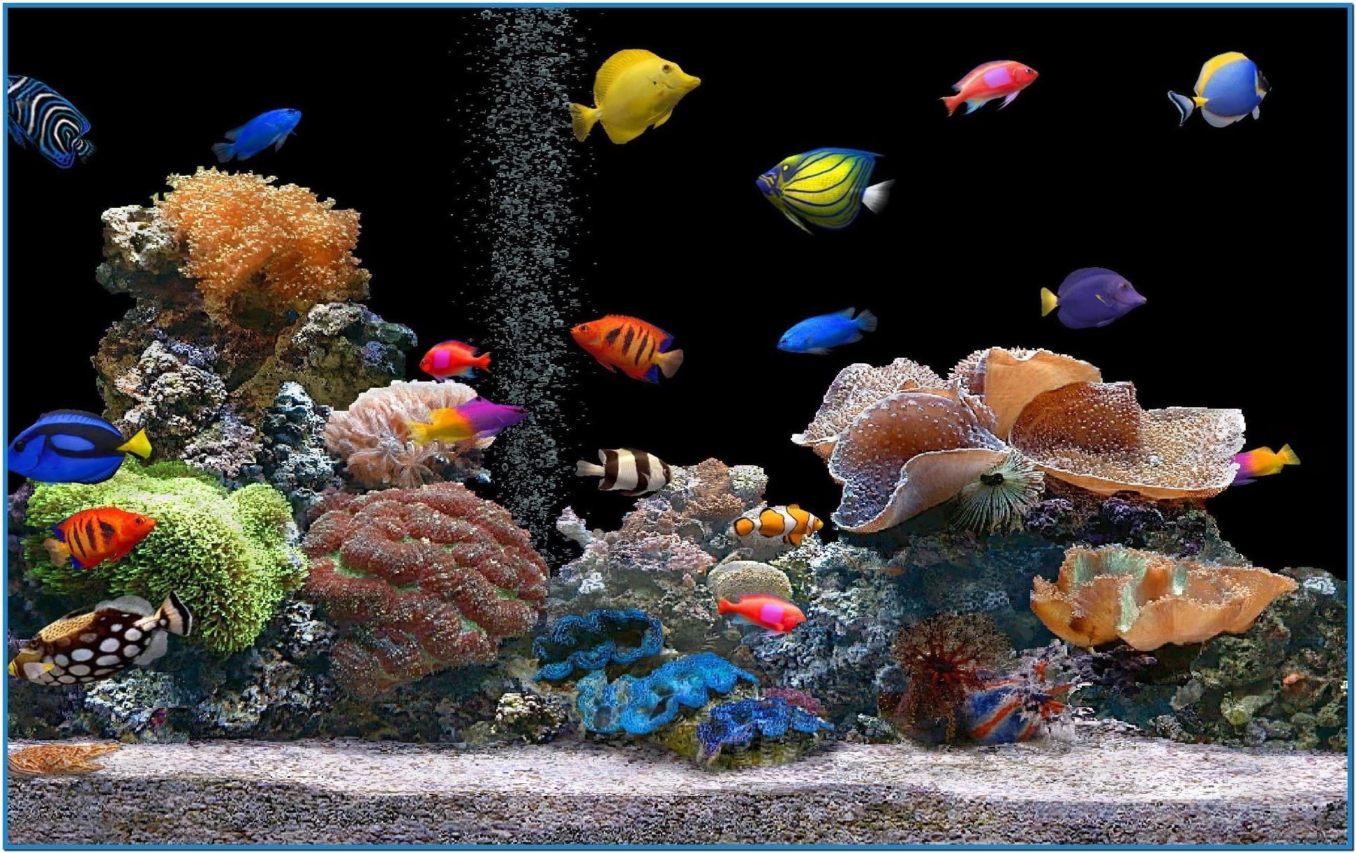 3D Fish Wallpapers