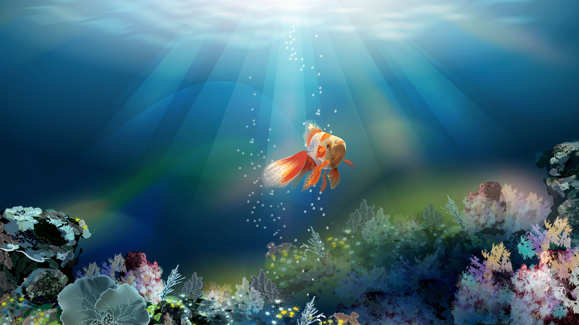 3D Fish Wallpapers
