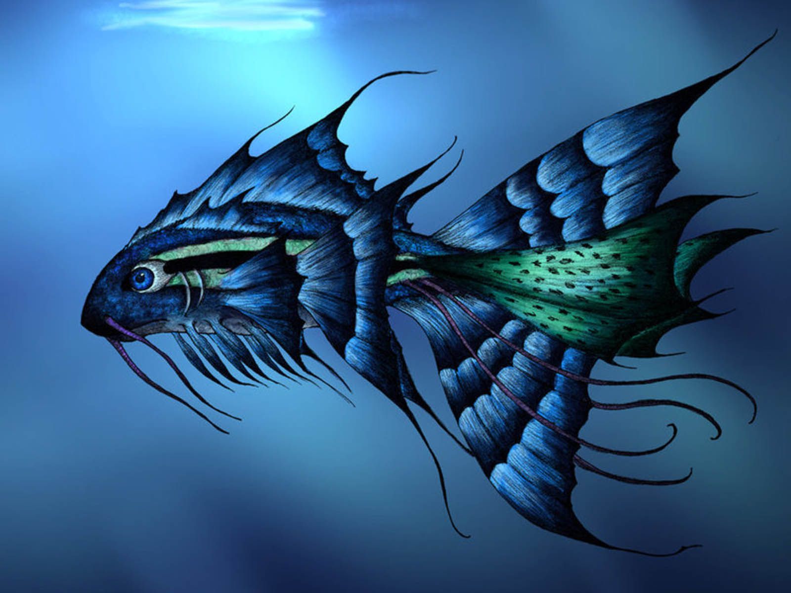 3D Fish Wallpapers