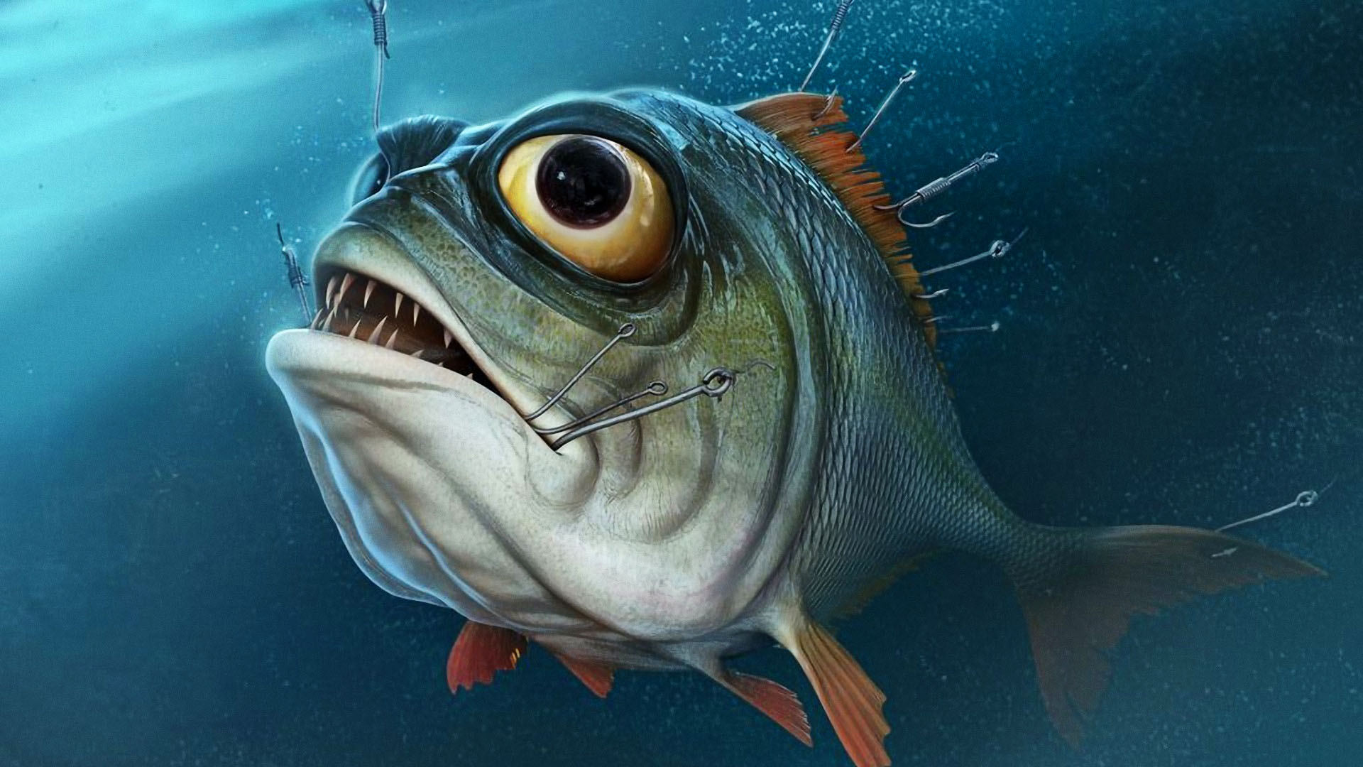 3D Fish Wallpapers