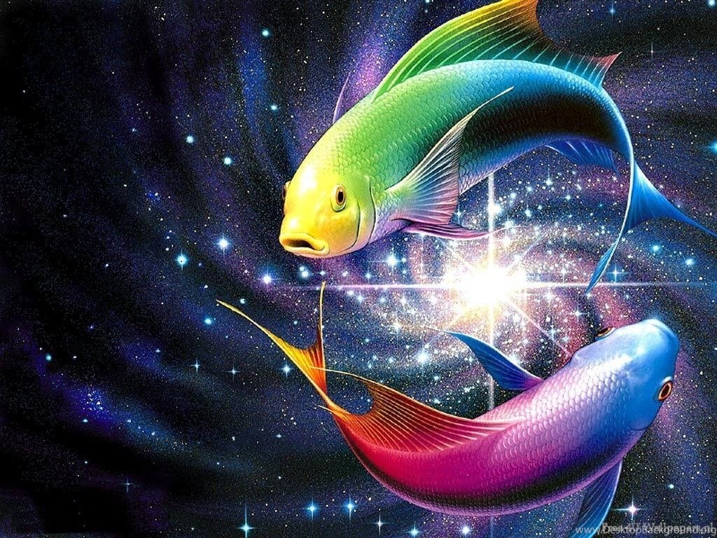 3D Fish Wallpapers