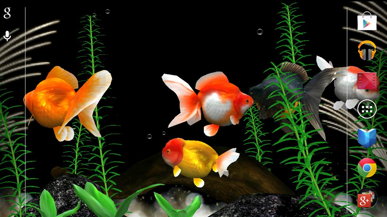 3D Fish Wallpapers