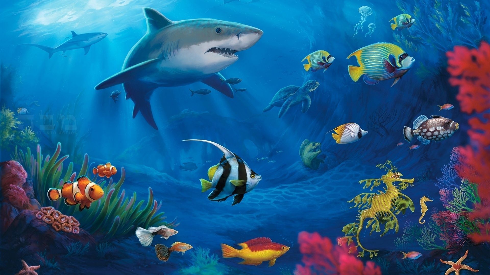 3D Fish Wallpapers