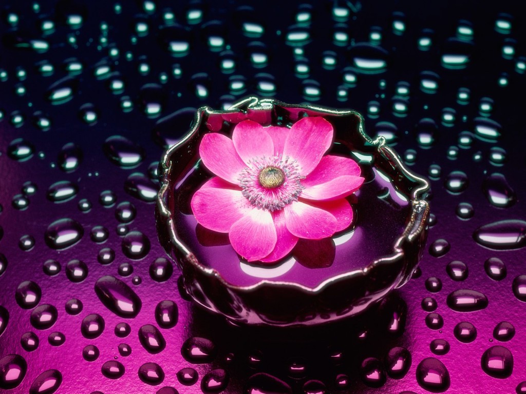 3D Flower Wallpapers