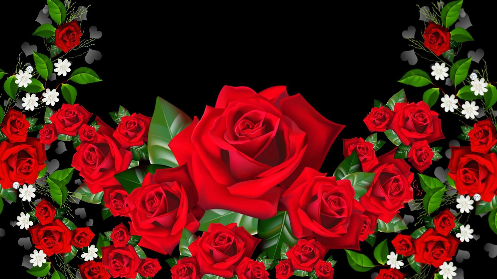 3D Hd Roses Wallpapers