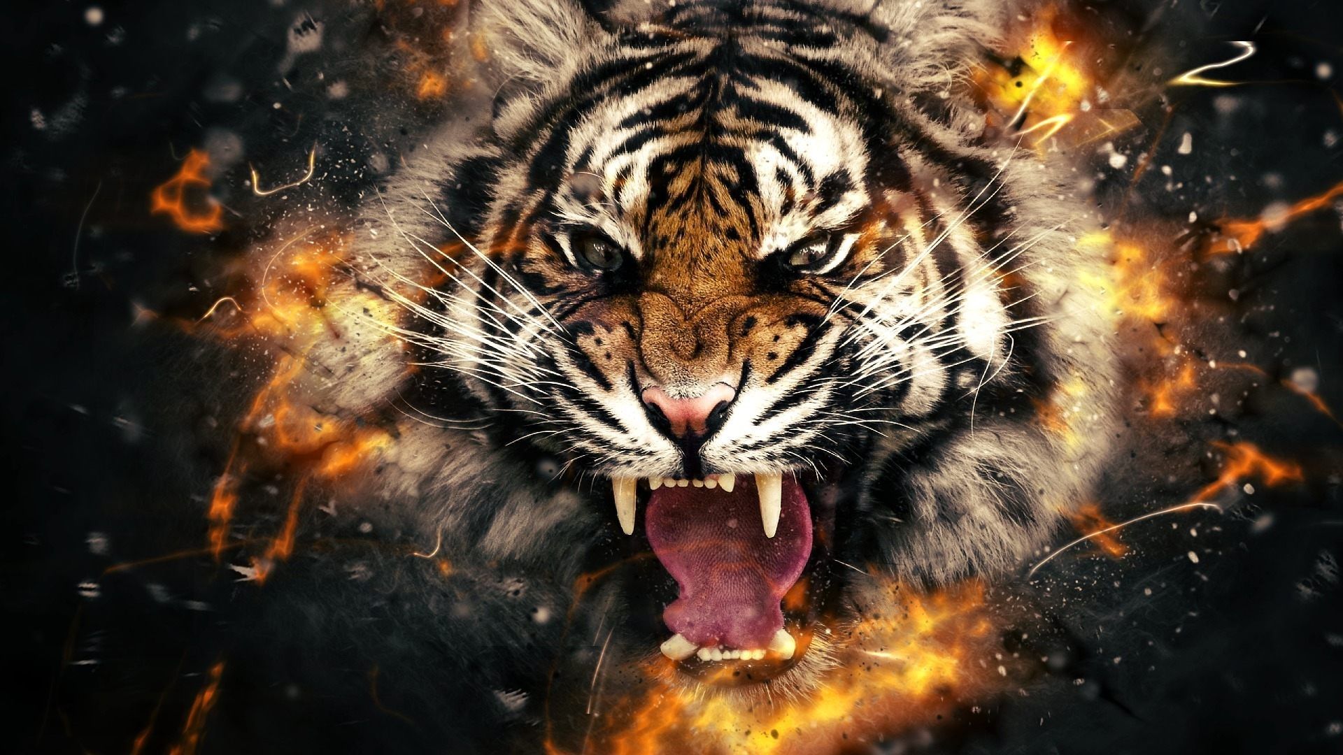 3D Hd Tiger Wallpapers