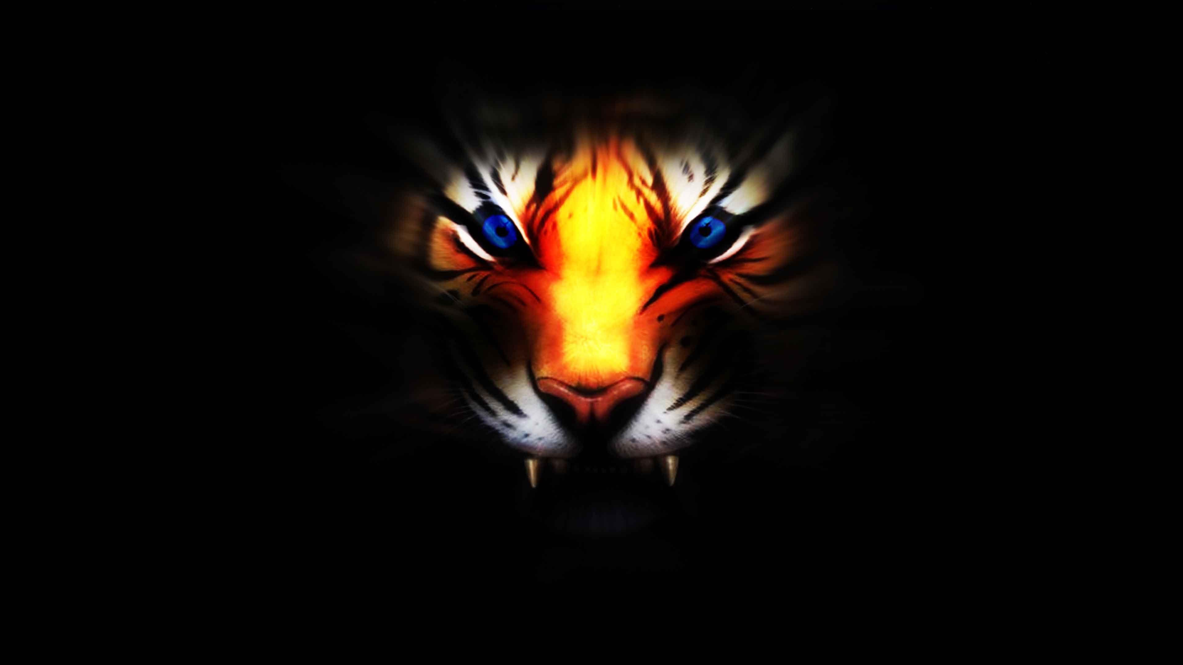 3D Hd Tiger Wallpapers